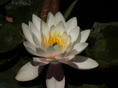 科技新闻网